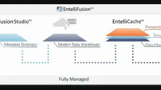 EntelliFusion screenshot