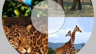 Epson Creative Print screenshot