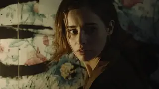 Erica screenshot