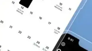 Ermine screenshot