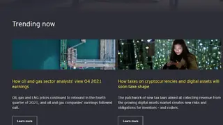Ernst & Young screenshot