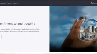 Ernst & Young screenshot