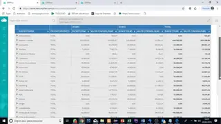 erpflex screenshot