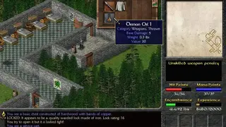 Eschalon: Book 1 screenshot