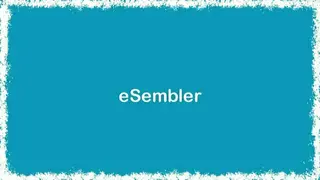 eSembler screenshot