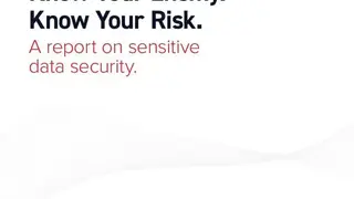 eSentire screenshot
