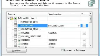 ESF Database Migration Toolkit screenshot