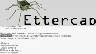 Ettercap screenshot