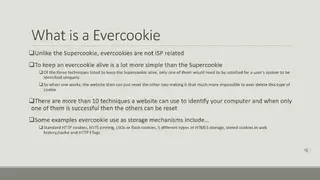 EverCookie screenshot