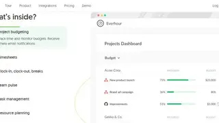 Everhour screenshot