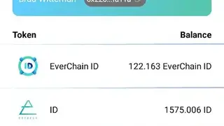 EverWallet screenshot