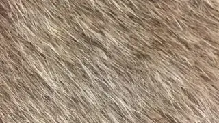 EveryTexture screenshot