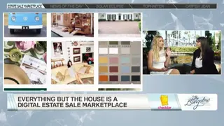 Everything But The House (EBTH) screenshot