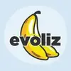 Evoliz