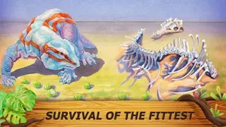 Evolution screenshot