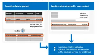 Exact Data screenshot
