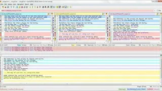 ExamDiff Pro screenshot