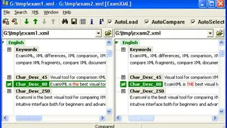 ExamXML screenshot