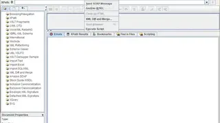 Exchanger XML editor screenshot