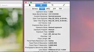 Exif Metadata Image Search screenshot