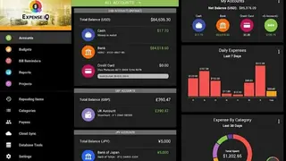 Expense IQ screenshot