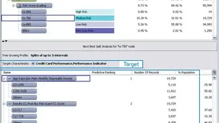 Experian PowerCurve screenshot