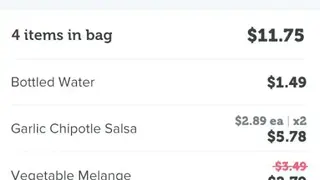 Express Checkout screenshot