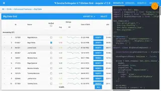 ExtAngular screenshot