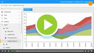 ExtAngular screenshot