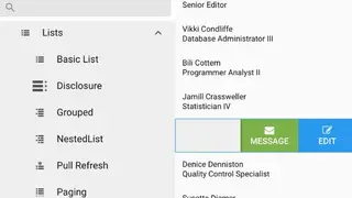 ExtAngular screenshot