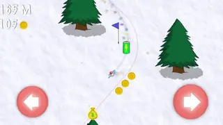 Extreme Ski Race Adventure screenshot