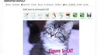 Ezgif screenshot