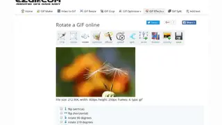 Ezgif screenshot