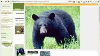 ezLinkPreview screenshot