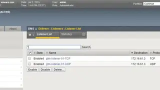F5 DNS Delivery screenshot