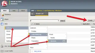 F5 DNS Delivery screenshot