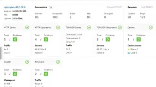 F5 NGINX screenshot