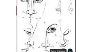 Face Drawing Step by Step screenshot