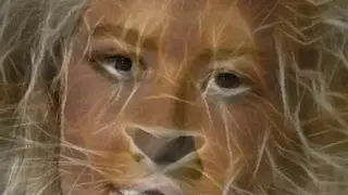 Face Morph screenshot