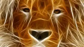 Face Morph screenshot