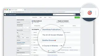 Facebook Audience Insights Helper screenshot