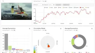 FaceReader Online screenshot