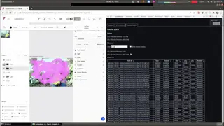 Facet screenshot