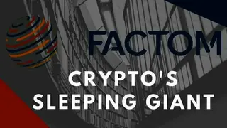 Factom (FCT) screenshot