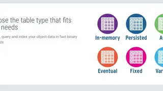 FairCom DB screenshot