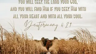 FaithGateway screenshot