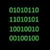 Fake IP Hacker