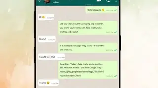 Faked screenshot