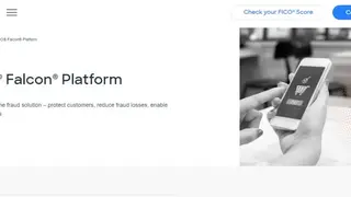 Falcon Fraud Manager screenshot