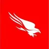 Falcon Sandbox